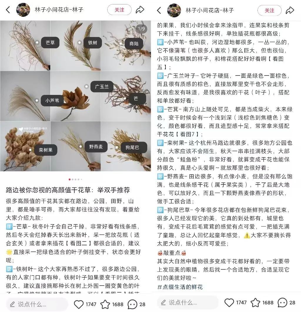 frc-15e05ebf8c859abc42f75bc5aa6e20fc.jpeg 对话林子 | 靠干花干草就能月入5w+?小红书这家手作店铺是怎么做到的?