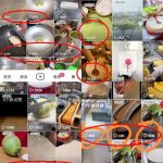 冒泡网赚：掌握这3个抖音技巧，一天涨粉1000不是梦！-冒泡网