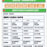 冒泡网赚：视频号起号5步全流程，新手也能实现10W+流量！-冒泡网