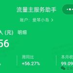 冒泡网赚：做好一个视频号加一个公众号可养活了一生-冒泡网