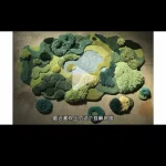 解锁小红书带货的成功秘诀，分分钟爆单！-冒泡网