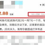 冒泡网赚：闲鱼代挂0投资副业项目，保姆级教程，让你一个月多赚几十张红票！-冒泡网