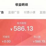 冒泡网赚：一天300+，无脑搬运搜狐视频，新手小白可做-冒泡网