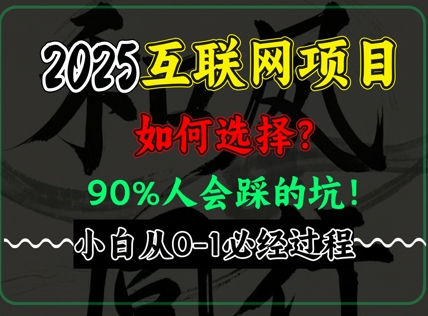 2025年互联网项目搞钱方法论，全是干货，肺腑之言，新手从0-1必经过程，边看边实操-鼎铸网