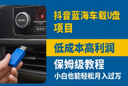 抖音蓝海车载U盘项目，低成本高利润保姆级教程，小白也能轻松月入过W-冒泡网