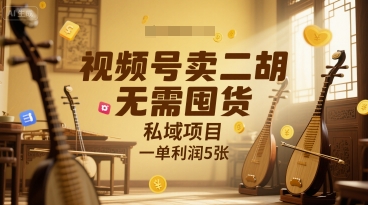 视频号卖二胡，无需囤货，私域项目，一单利润5张-冒泡网