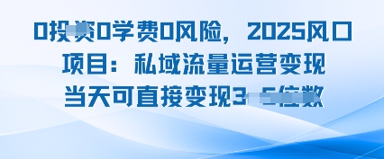 0学费0风险，2025风口项目：私域流量运营变现，当天可直接变现-冒泡网