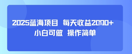 2025蓝海项目 每天收益多张 小白可做 操作简单-冒泡网