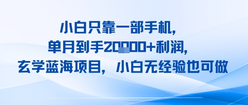 小白只靠一部手机，单月到手2W+利润，玄学蓝海项目，小白无经验也可做-冒泡网