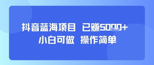 抖音蓝海项目，小白可做，操作简单，可批量制作，已挣5k+-冒泡网