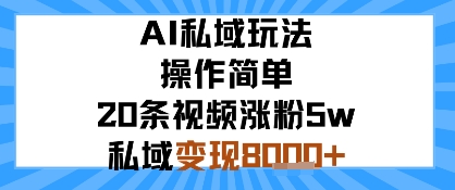 AI私域玩法，操作简单，20条视频涨粉5w，私域变现8k+-冒泡网