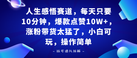人生感悟赛道，每天只要十分钟，爆款点赞10W+，涨粉带货太猛了，小白可玩，操作简单-冒泡网