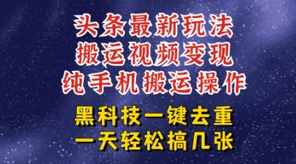 今日头条纯搬运玩法，轻松过原创不违规，轻松日入三位数，稳的很-冒泡网
