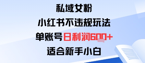 私域女粉：小红书平台不违规玩法单账号日利润6张+适合新手小白-冒泡网