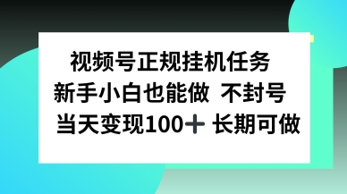 视频号正规挂播任务，有手就行不违规，轻松日入1张-冒泡网