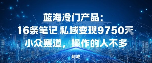 蓝海冷门产品：16条笔记私域变现9750米，小众赛道，操作的人不多-冒泡网