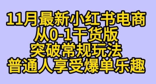 K总部落《11月小红书电商最新玩法从0-1突破平台流量》-冒泡网