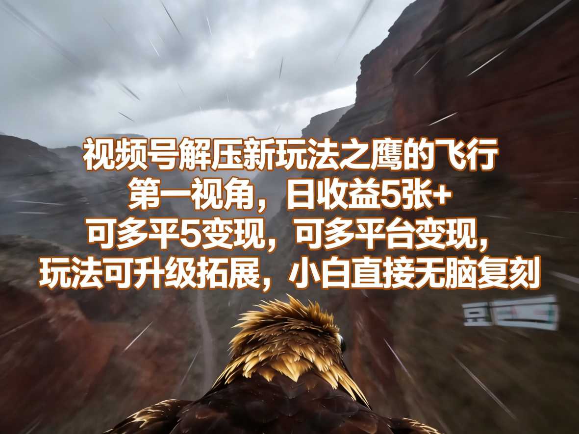 视频号解压新玩法之鹰的飞行第一视角，日收益5张+，可多平台变现，玩法可升级拓展，小白直接无脑复刻-冒泡网