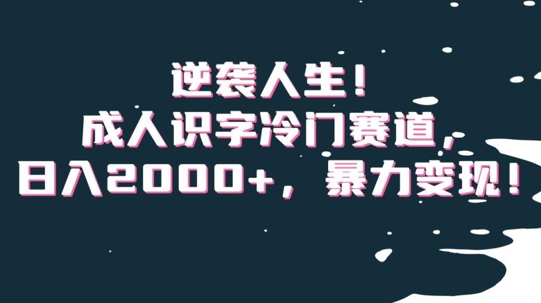 逆袭人生！成人识字冷门赛道，日入2000+，暴力变现！【揭秘】-冒泡网