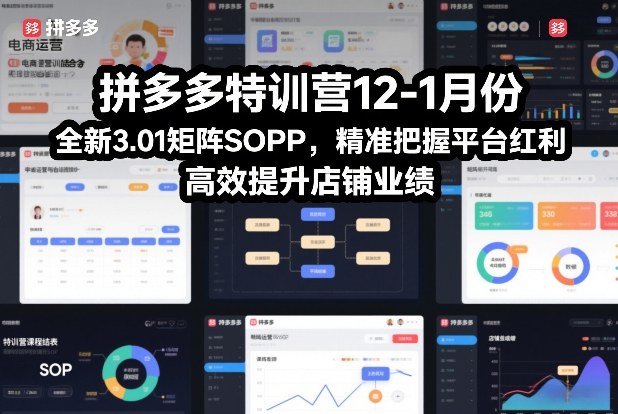 拼多多特训营12-1月份，全新3.01矩阵Sop，精准把握平台红利，高效提升店铺业绩-冒泡网