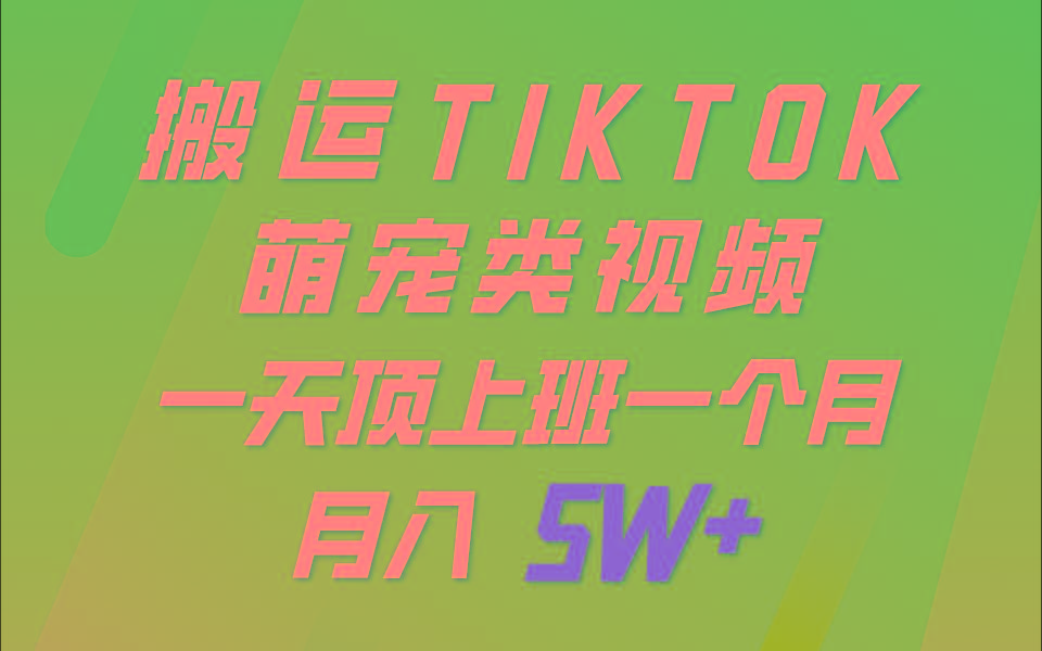 一键搬运TIKTOK萌宠类视频，一部手机即可操作，所有平台均可发布 轻松月入5W+-冒泡网