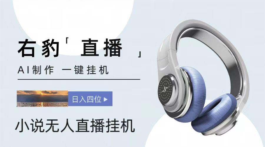 右豹小说无人直播挂机吸金项目，简单易行收益稳定， 月入1000+-冒泡网