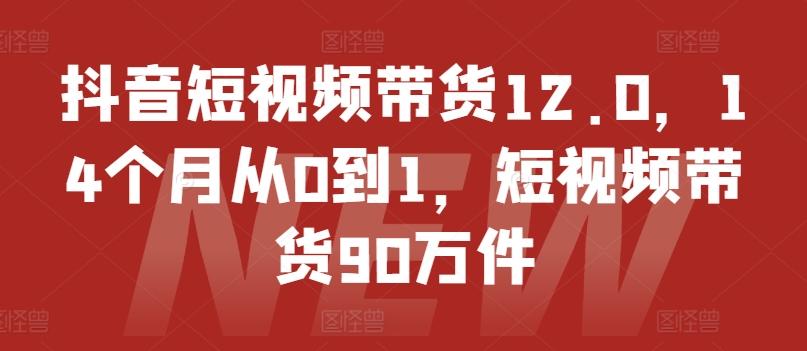 抖音短视频带货12.0，14个月从0到1，短视频带货90万件-冒泡网