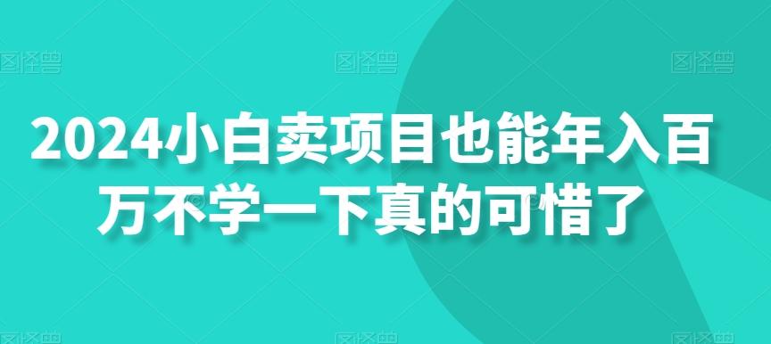 2024小白卖项目也能年入百万不学一下真的可惜了-冒泡网