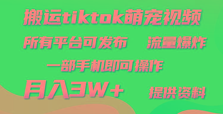 (9618期)搬运Tiktok萌宠类视频，一部手机即可。所有短视频平台均可操作，月入3W+-冒泡网