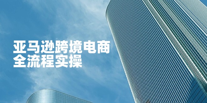 亚马逊跨境电商全流程实操，教你从零开始，掌握店铺运营与广告技巧-冒泡网