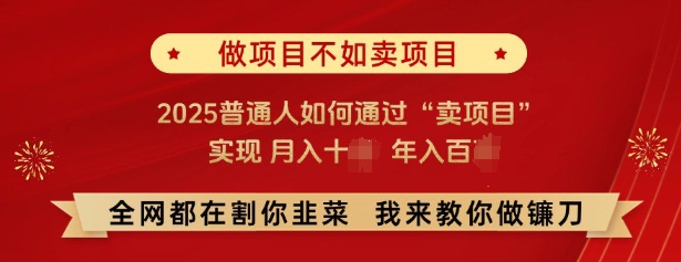 必看，做项目不如卖项目，2025普通人如何通过“卖项目”实现月入十个，年入百个-冒泡网