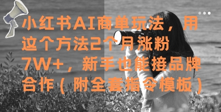 小红书AI商单玩法，用这个方法2个月涨粉7W+，新手也能接品牌合作(附全套指令模板)-冒泡网