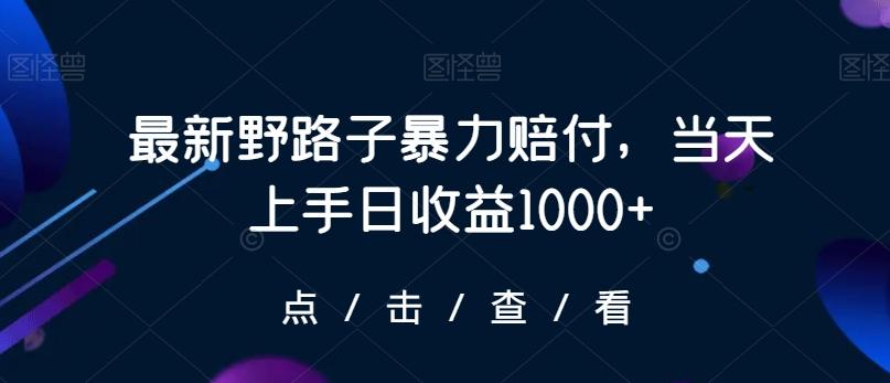 最新野路子暴力赔付，当天上手日收益1000+【仅揭秘】-冒泡网