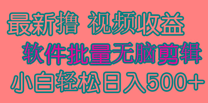(9569期)发视频撸收益，软件无脑批量剪辑，第一天发第二天就有钱-冒泡网