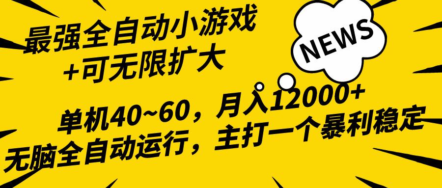 (10046期)2024最新全网独家小游戏全自动，单机40~60,稳定躺赚，小白都能月入过万-冒泡网