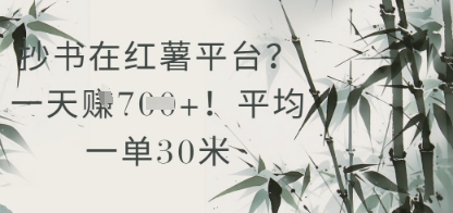 抄书在小红薯平台？平均一单30米，一天收益几张！-冒泡网