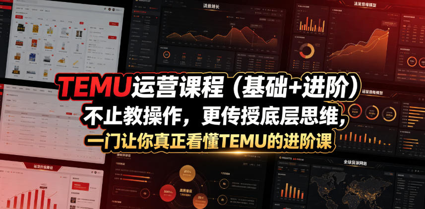 TEMU运营课程(基础+进阶)，不止教操作，更传授底层思维，一门让你真正看懂TEMU的进阶课-冒泡网