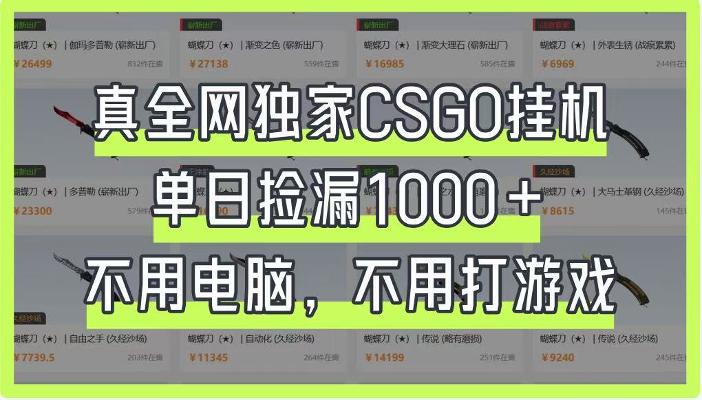 真全网独家CSGO挂机，单日捡漏1000+，不用电脑，不用养号-冒泡网