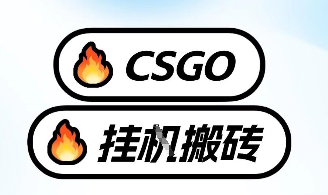 真全网独家CSGO挂G，最新玩法,单日捡漏1K+，不用电脑，不用打游戏【揭秘】-冒泡网