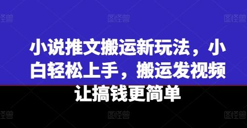 小说推文搬运新玩法，小白轻松上手，搬运发视频让搞钱更简单-冒泡网