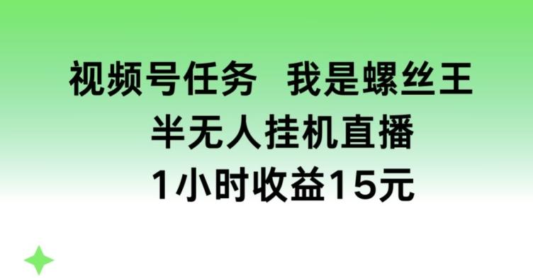 视频号任务，我是螺丝王， 半无人挂机1小时收益15元【揭秘】-冒泡网