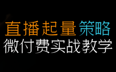 半野老师·直播带货起量与微付费必学课视频号(更新2026)-冒泡网