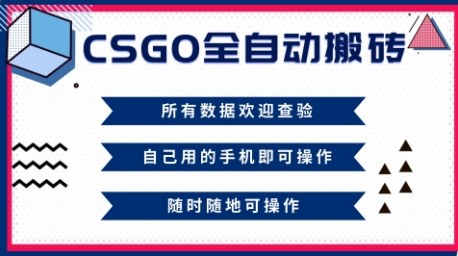 CSGO全自动搬砖，年底钱回家好项目，当天可拿到结果，新手小白轻松月入1W+【揭秘】-冒泡网