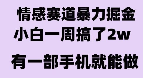 情感暴力掘金项目，新人操作一周挣了2W，长期稳定小白可做【揭秘】-冒泡网
