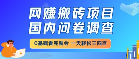 网创搬砖项目，国内问卷调查，小白轻松上手，一天三四张的也不难，干就完了【揭秘】-冒泡网