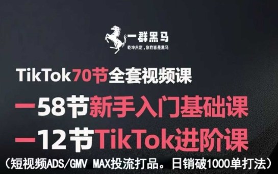 TikTok全套视频课，新手入门+进阶课，短视频ADS-GMV MAX投流打品，日销破1000单打法-冒泡网