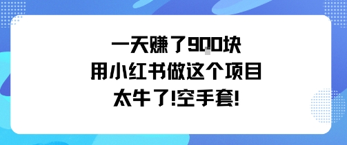 一天挣了9张用小红书做这个项目太牛了，空手套-冒泡网
