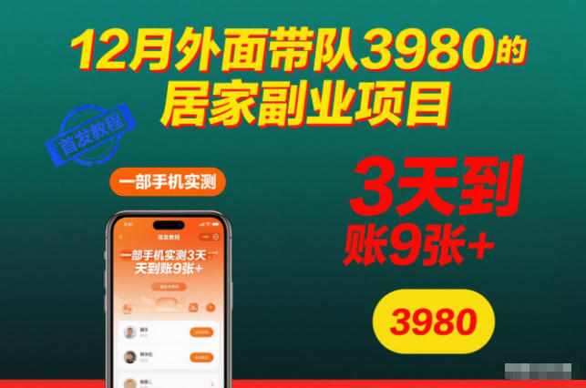 12月外面带队3980的居家副业项目，一部手机实测3天到账9张+，首发教程【揭秘】-冒泡网