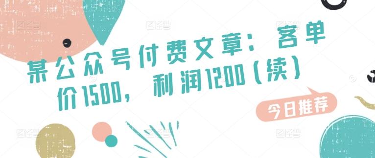 某公众号付费文章：客单价1500，利润1200(续)，市场几乎可以说是空白的-冒泡网
