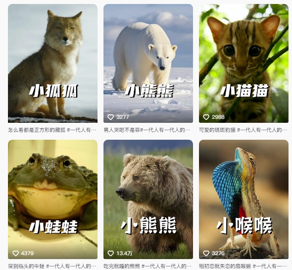 3637bdc561e0a69905b43b1107fe0d46.jpeg 最新搞笑动物百科详细解说课程,蓝海赛道,流量非常大,轻松签独家进精选